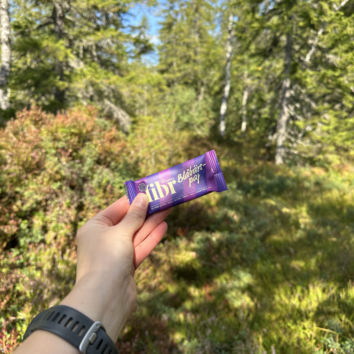 Blåbärspaj – 25-pack