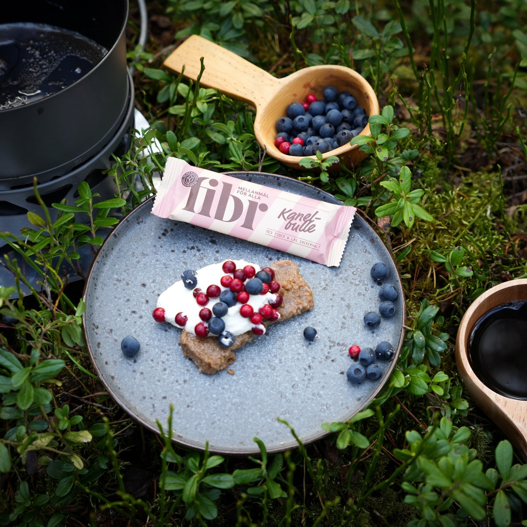 Fibr Fika – Taste Box 25 bars
